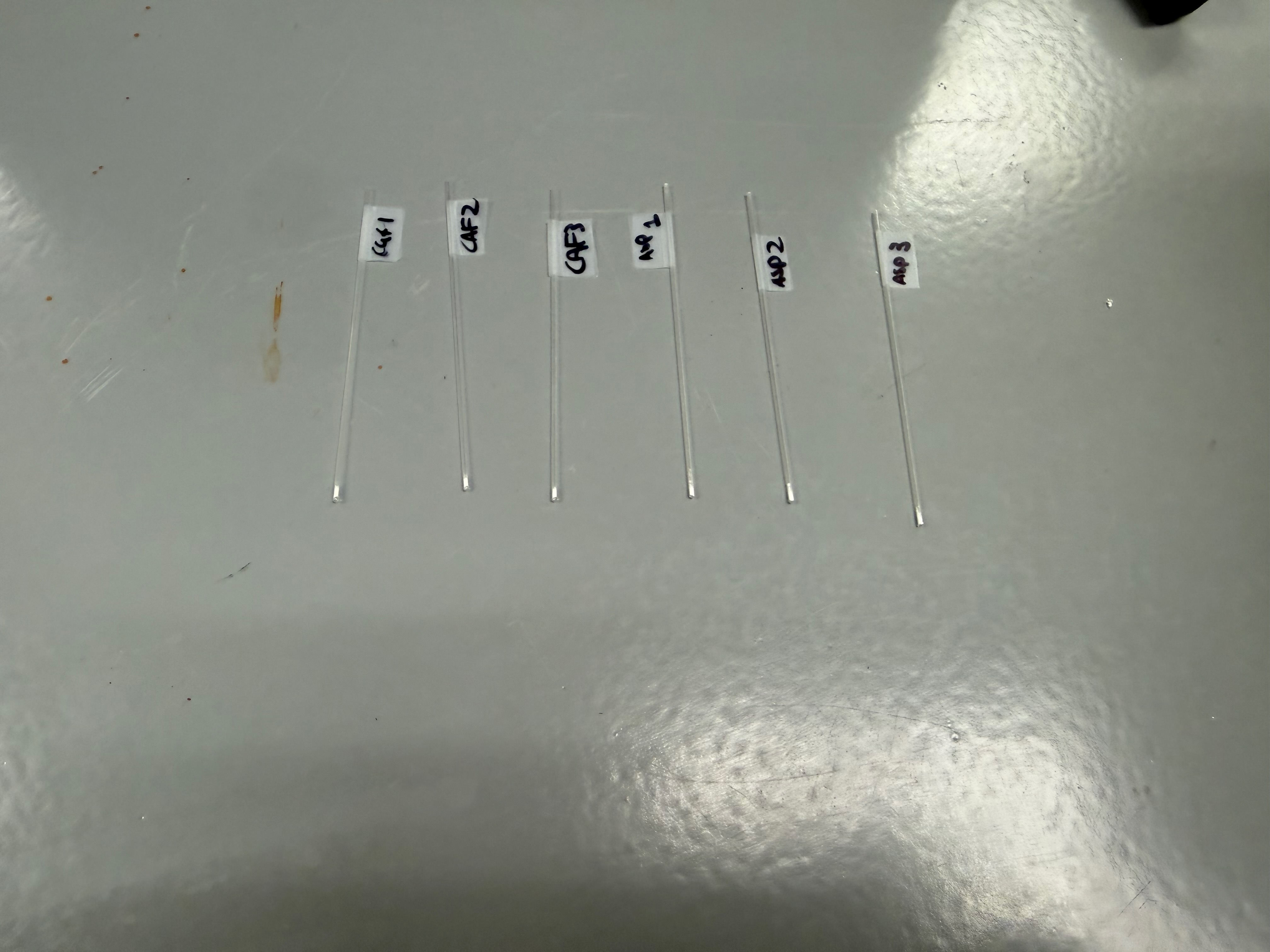 Capillary tubes labeled CAF1–3 and MP1–3
